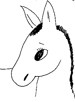 donkey